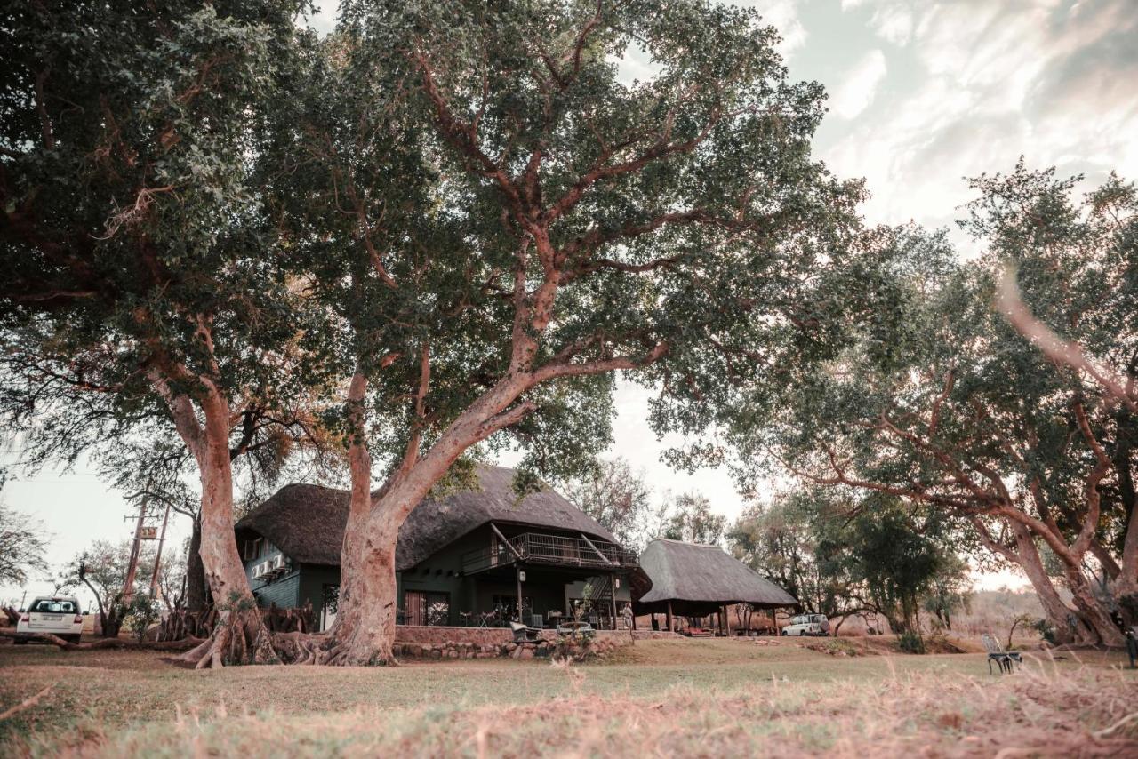 Maninghi Lodge Balule viltreservat Exteriör bild