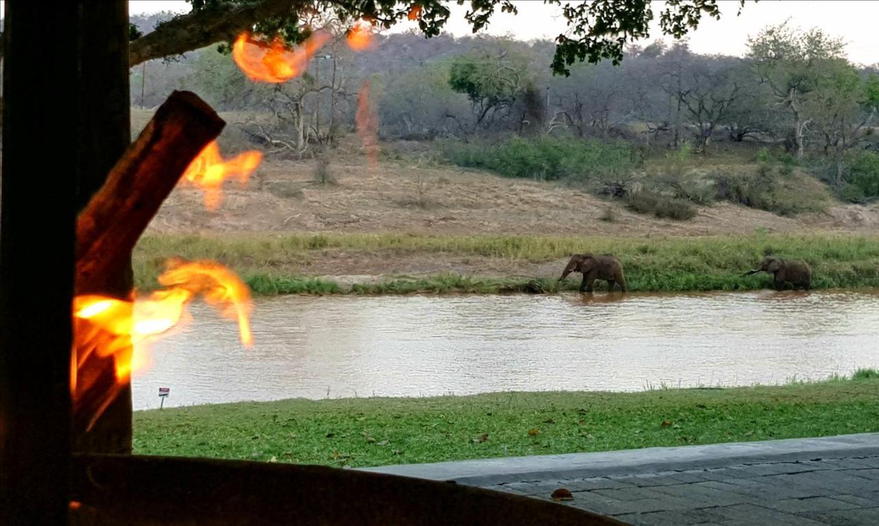 Maninghi Lodge Balule viltreservat Exteriör bild